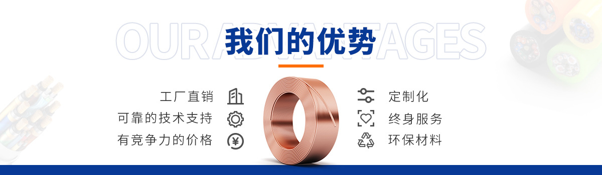 上海德汝电缆优势