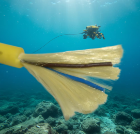 ROV 水下零浮力电缆｜光电复合中性浮力脐带缆 深海机器人专用线缆厂家